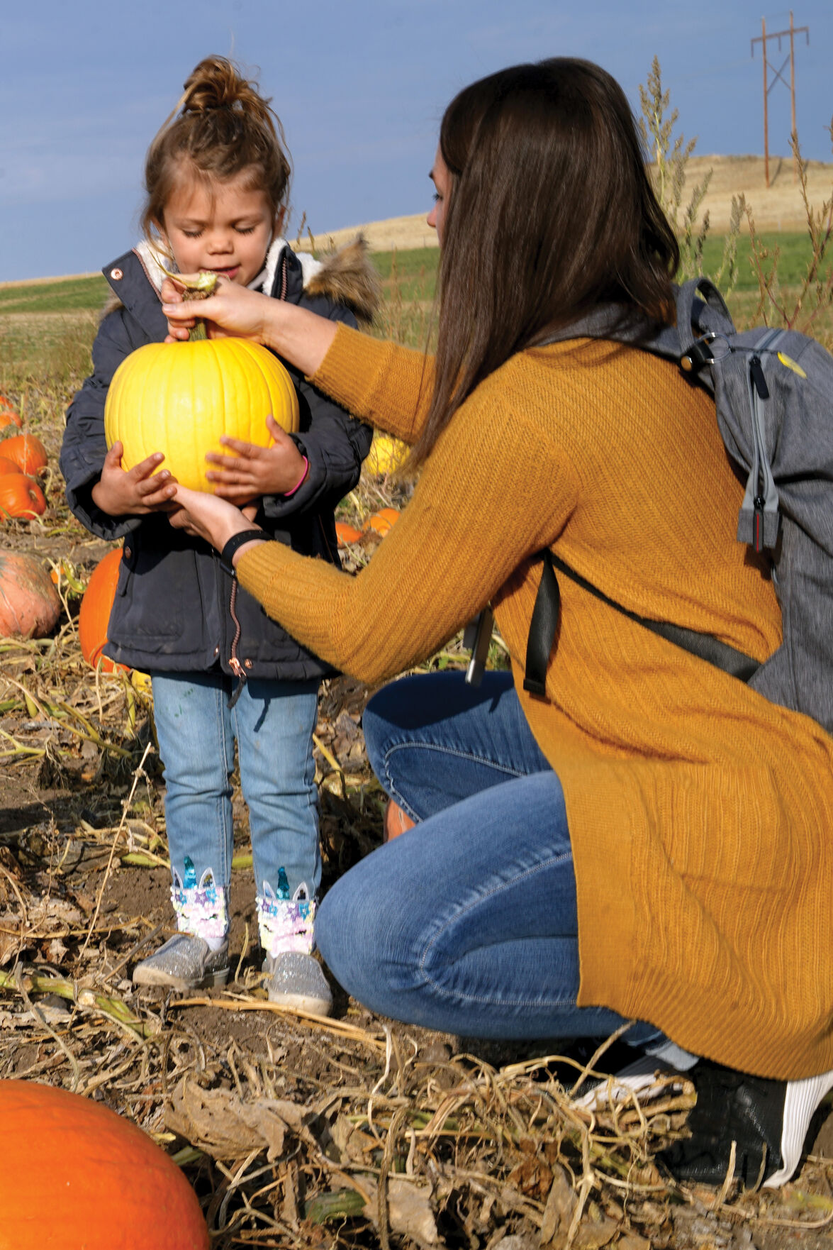 Pumpkin Patch Standalones 009.jpg